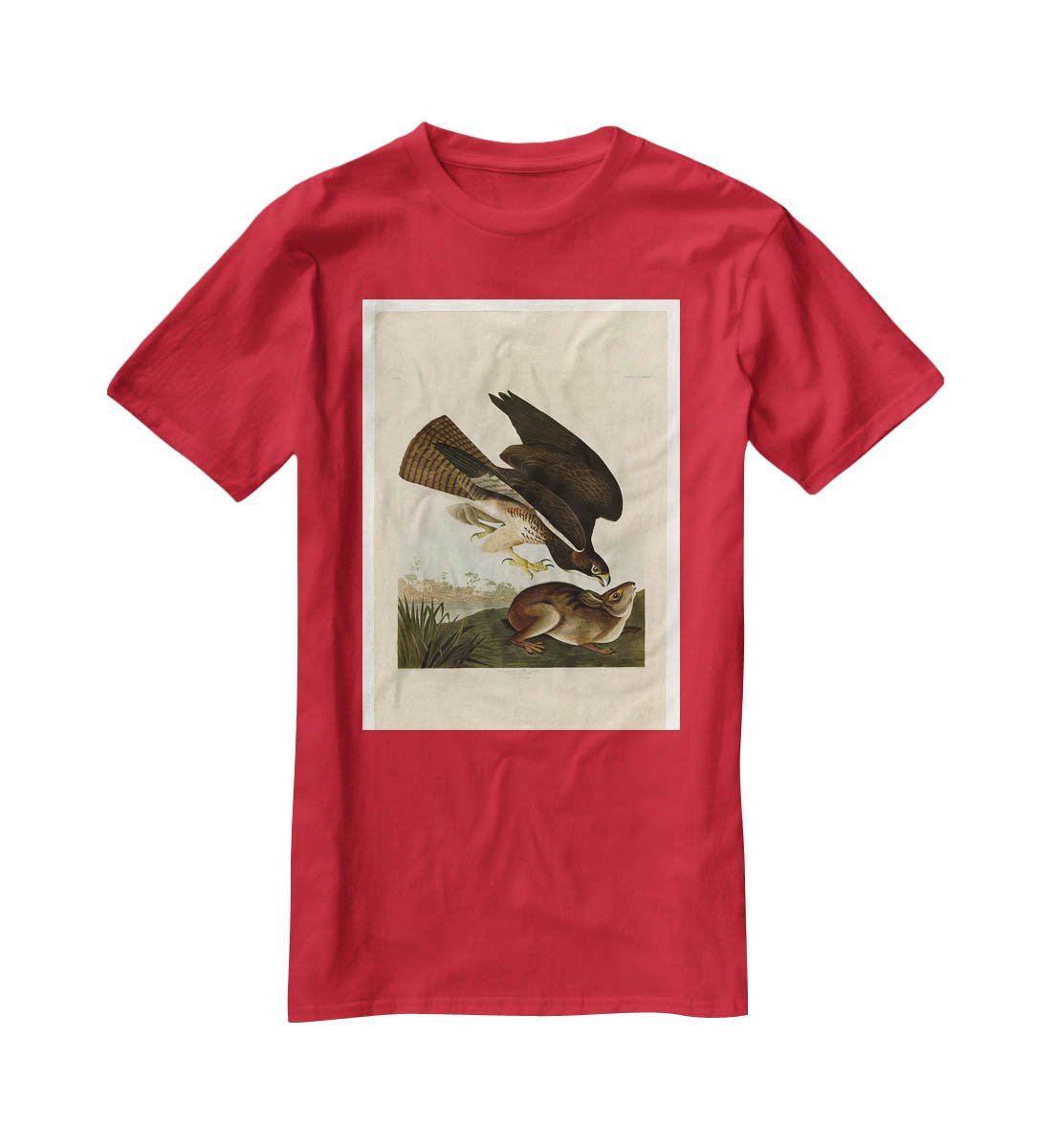 Common Buzzard by Audubon T-Shirt - Canvas Art Rocks - 4