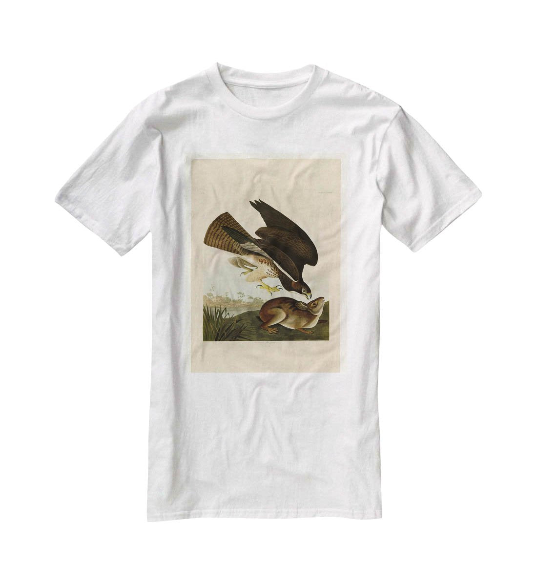 Common Buzzard by Audubon T-Shirt - Canvas Art Rocks - 5