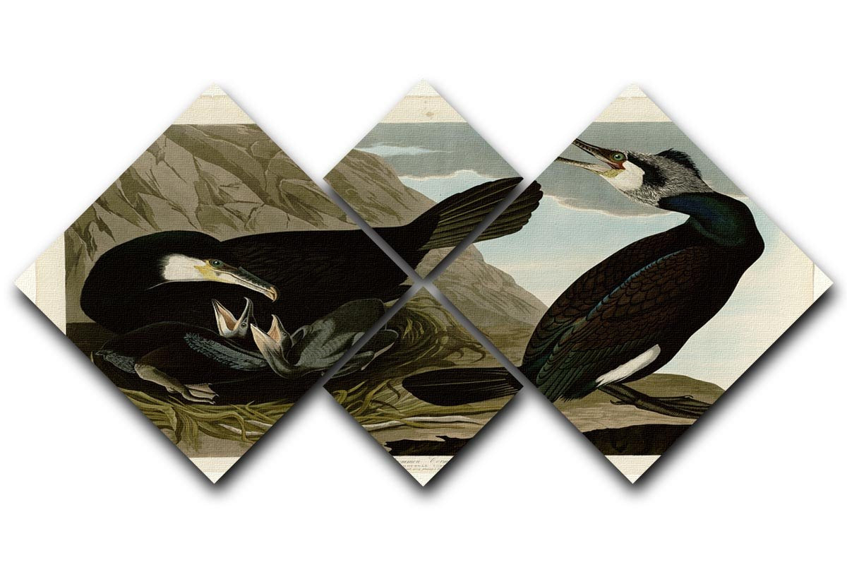 Common Cormorant by Audubon 4 Square Multi Panel Canvas - Canvas Art Rocks - 1