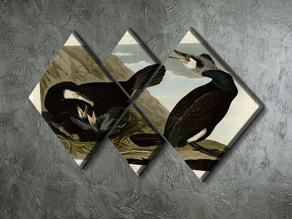 Common Cormorant by Audubon 4 Square Multi Panel Canvas - Canvas Art Rocks - 2