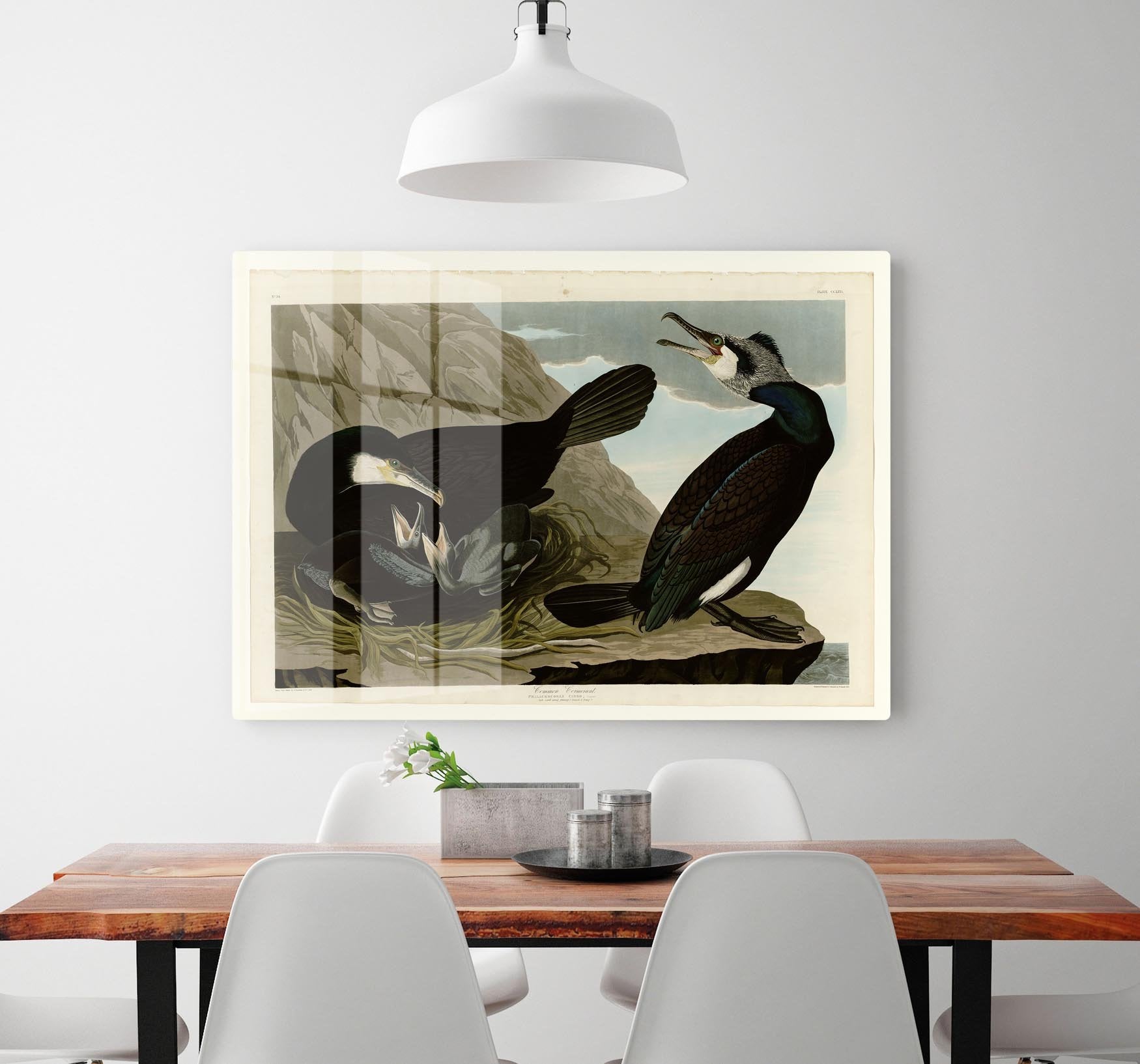 Common Cormorant by Audubon HD Metal Print - Canvas Art Rocks - 2