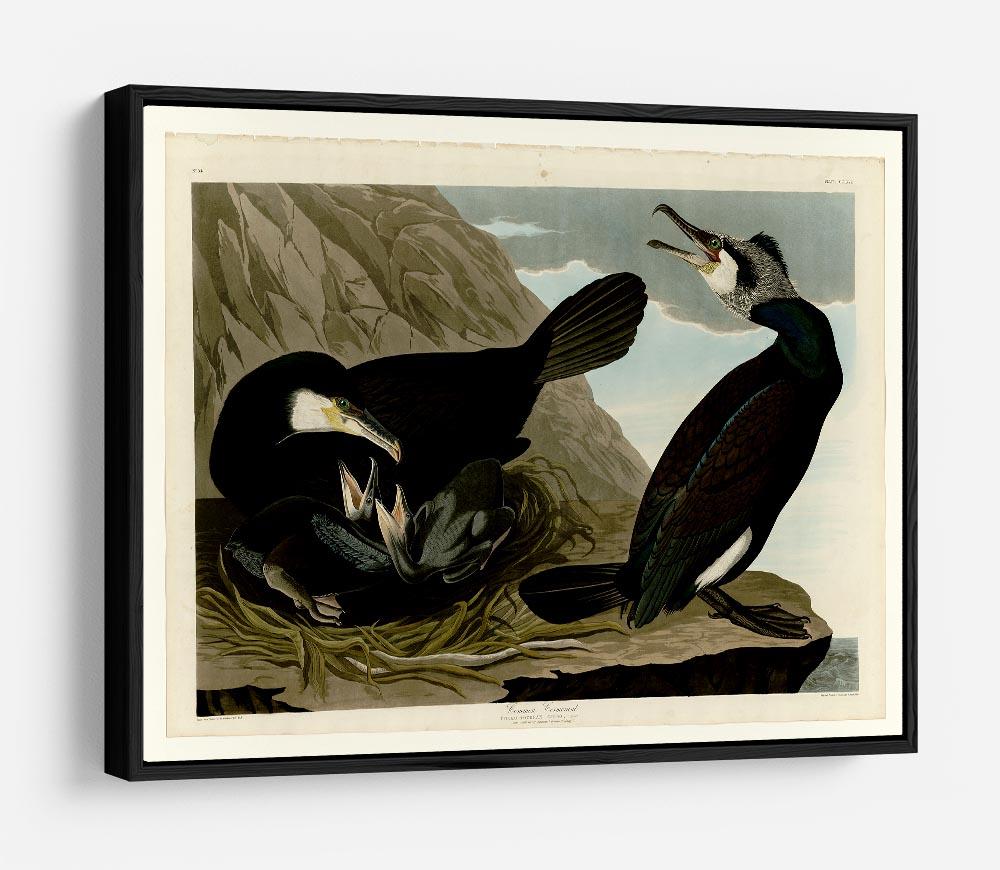 Common Cormorant by Audubon HD Metal Print - Canvas Art Rocks - 6