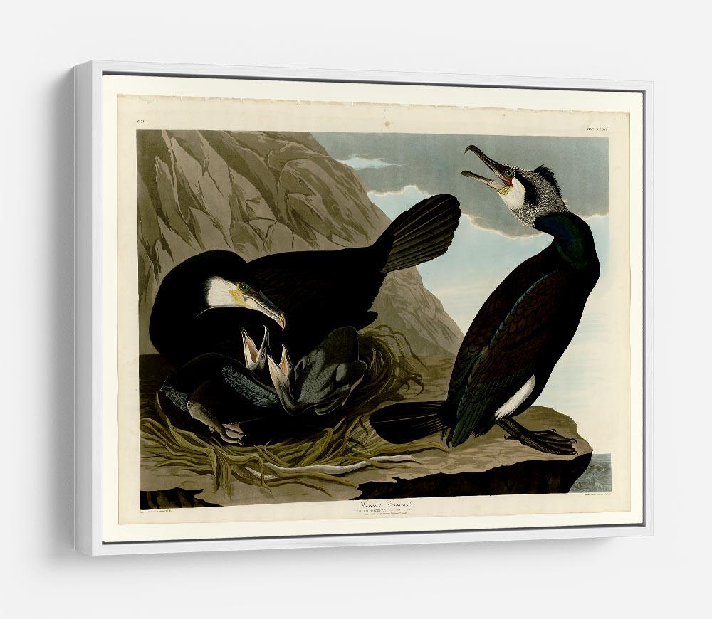 Common Cormorant by Audubon HD Metal Print - Canvas Art Rocks - 7