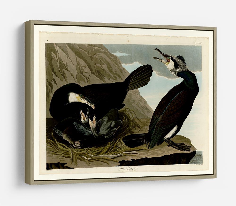 Common Cormorant by Audubon HD Metal Print - Canvas Art Rocks - 8