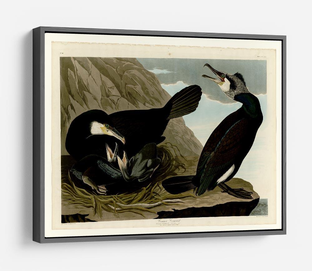 Common Cormorant by Audubon HD Metal Print - Canvas Art Rocks - 9