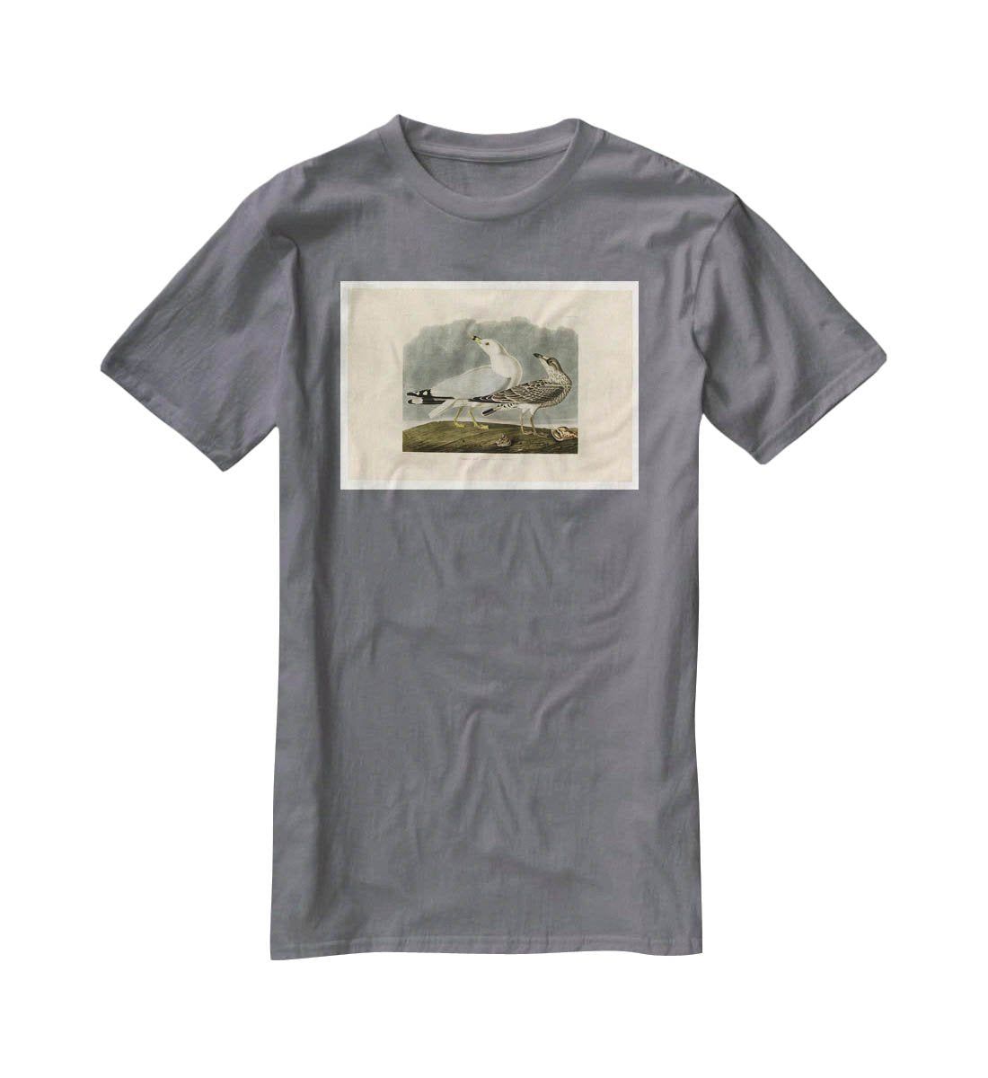 Common Gull by Audubon T-Shirt - Canvas Art Rocks - 3