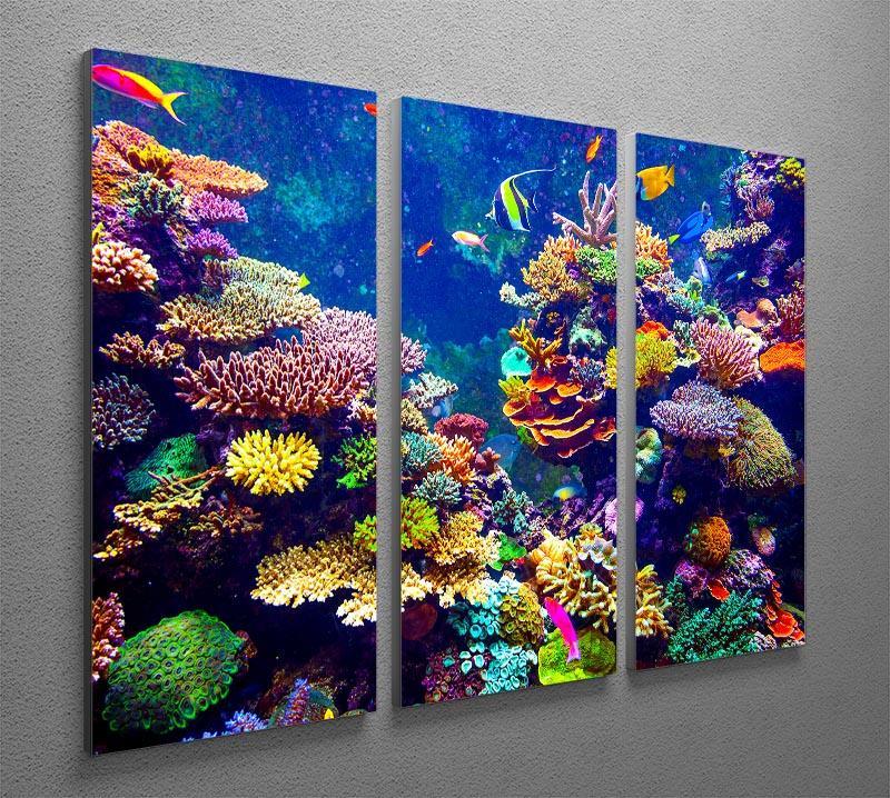 Coral Reef and Tropical Fish 3 Split Panel Canvas Print - Canvas Art Rocks - 2