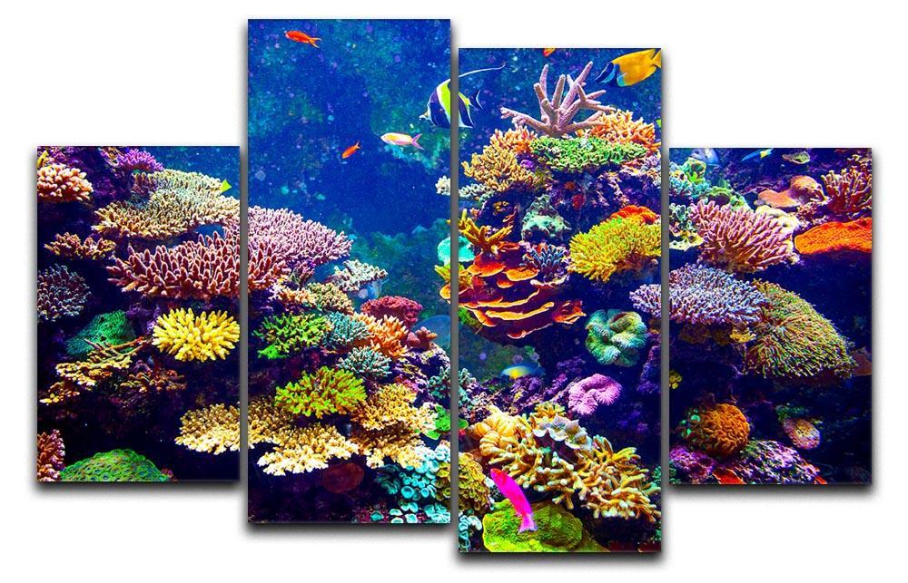 Coral Reef and Tropical Fish 4 Split Panel Canvas  - Canvas Art Rocks - 1