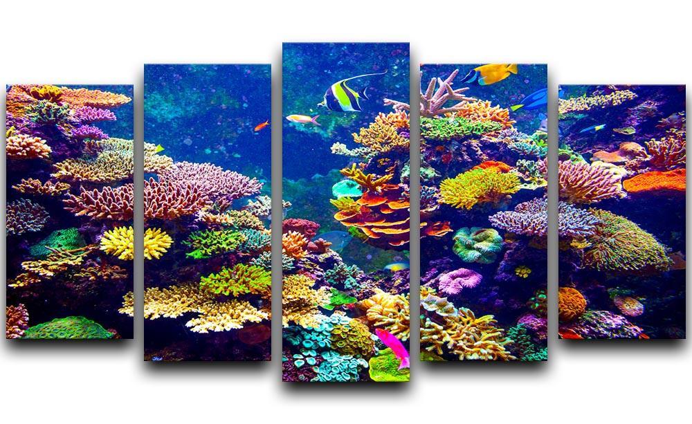 Coral Reef and Tropical Fish 5 Split Panel Canvas  - Canvas Art Rocks - 1