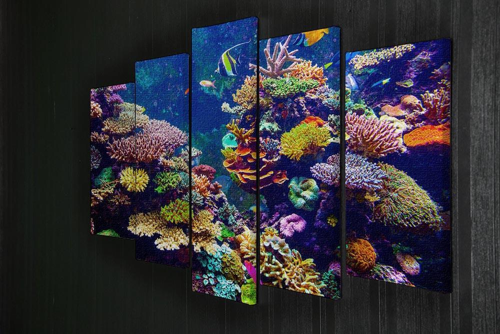 Coral Reef and Tropical Fish 5 Split Panel Canvas  - Canvas Art Rocks - 2