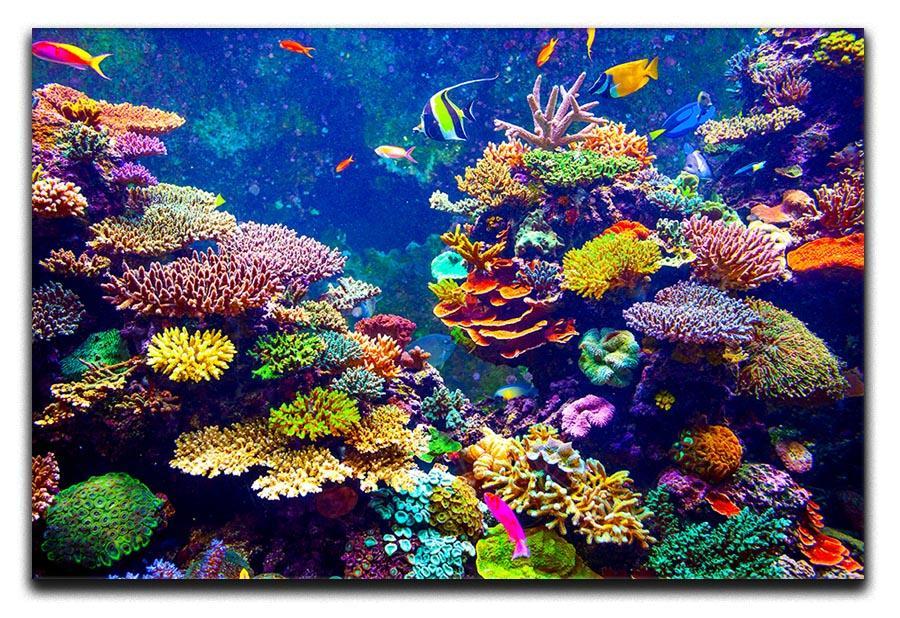 Coral Reef and Tropical Fish Canvas Print or Poster  - Canvas Art Rocks - 1