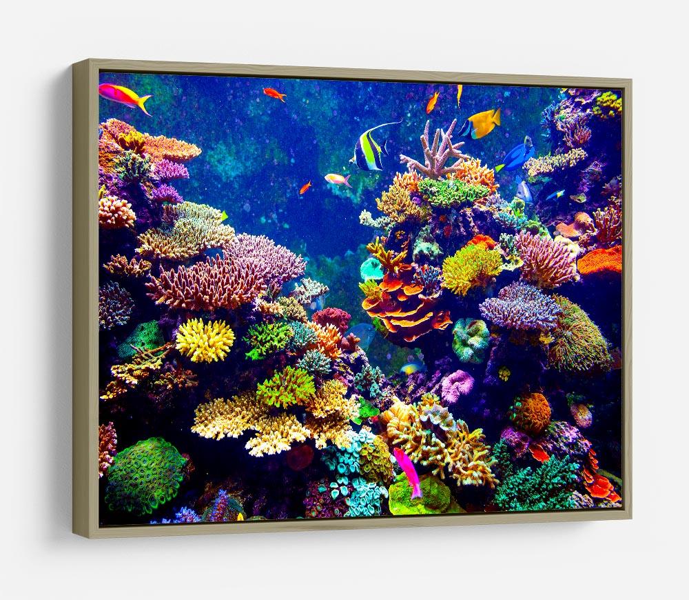 Coral Reef and Tropical Fish HD Metal Print