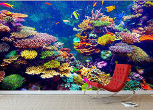 Coral Reef and Tropical Fish Wall Mural Wallpaper - Canvas Art Rocks - 3
