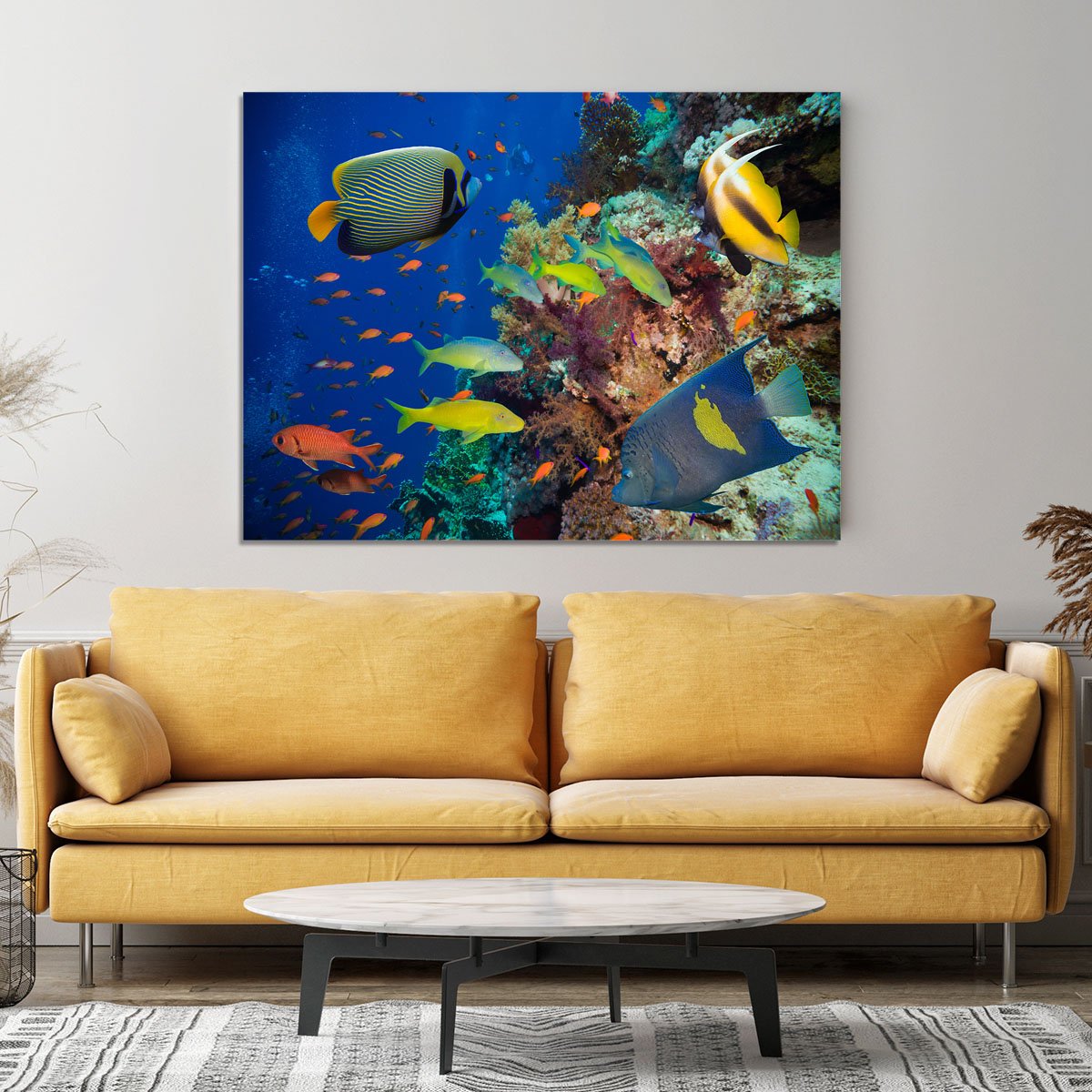 Coral Reef on Red Sea Canvas Print or Poster