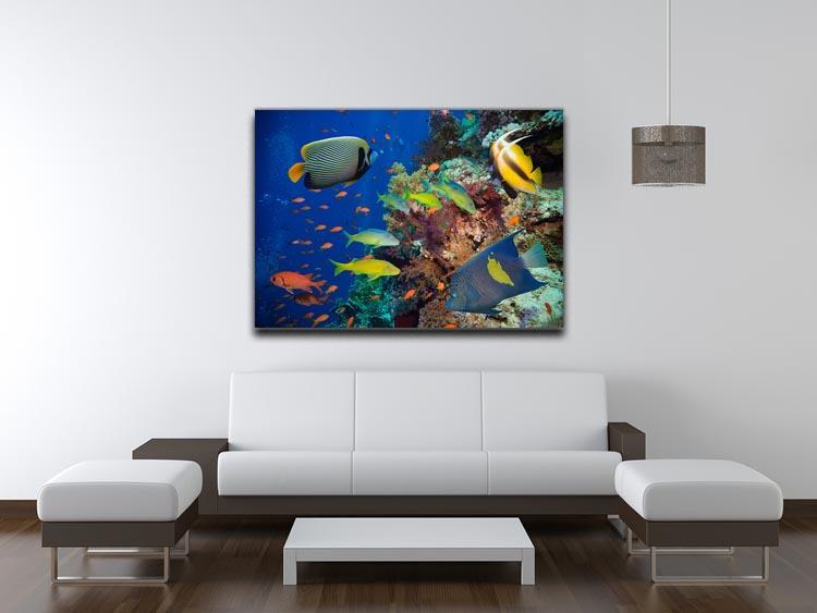 Coral Reef on Red Sea Canvas Print or Poster - Canvas Art Rocks - 4