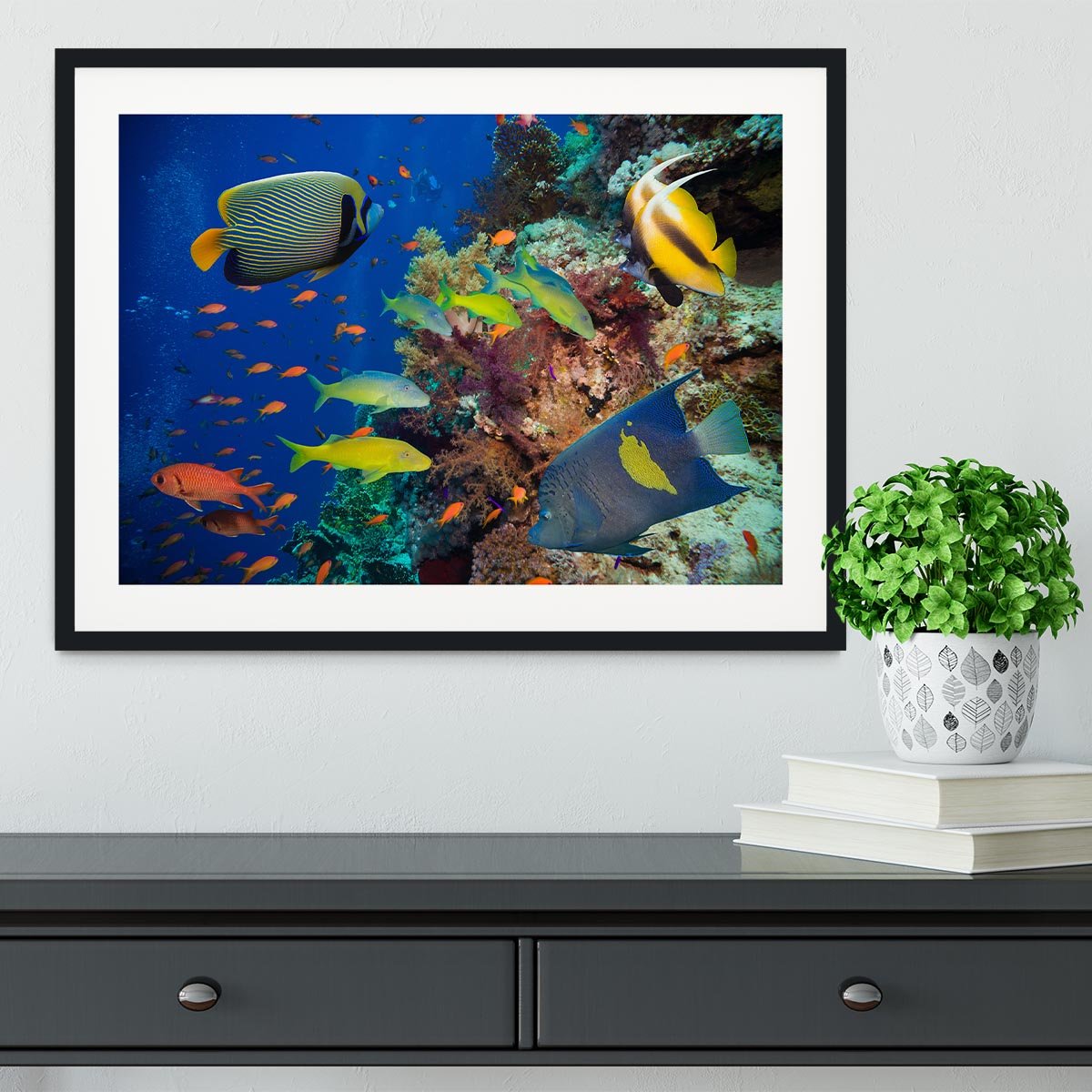 Coral Reef on Red Sea Framed Print - Canvas Art Rocks - 1