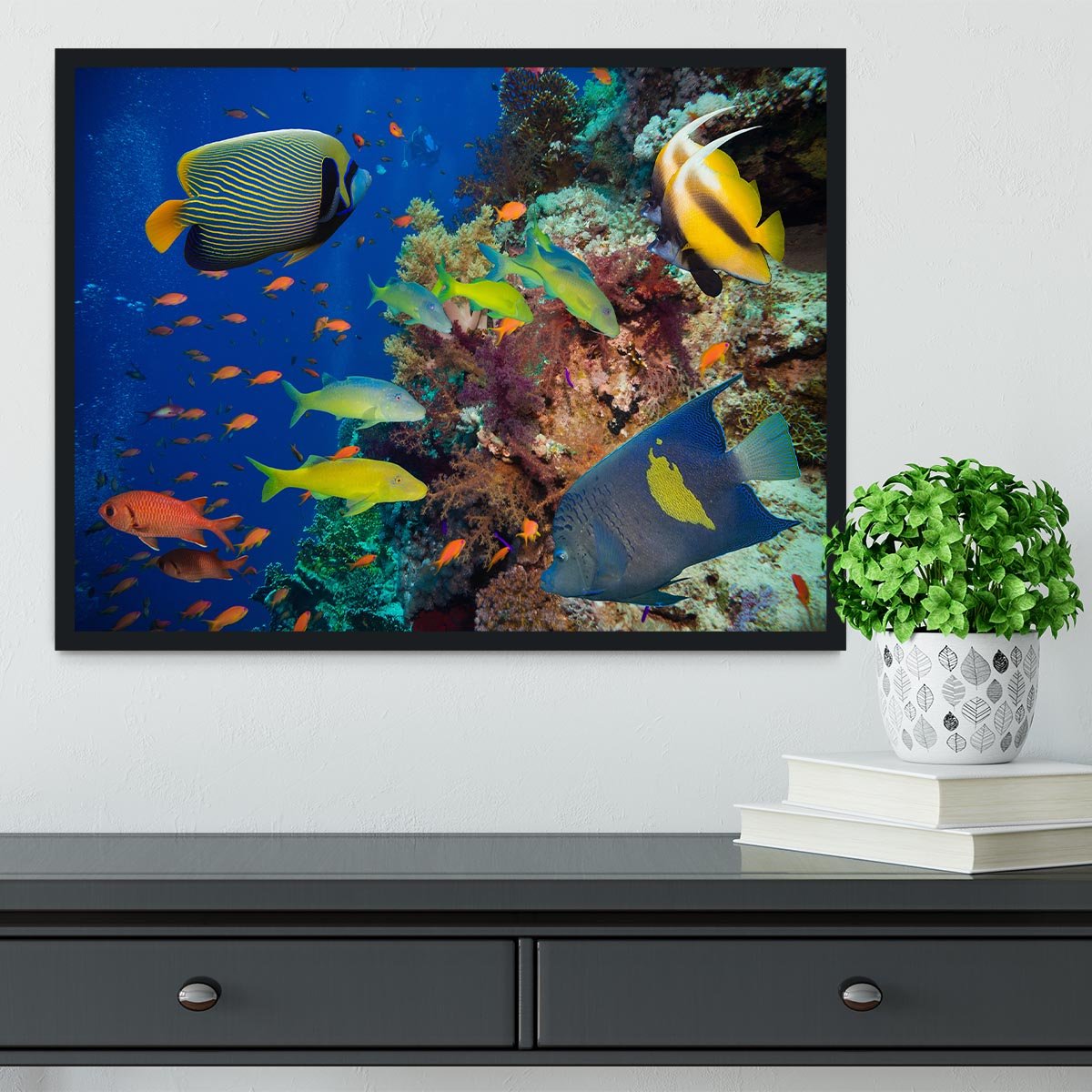 Coral Reef on Red Sea Framed Print - Canvas Art Rocks - 2