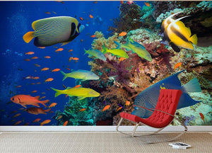 Coral Reef on Red Sea Wall Mural Wallpaper - Canvas Art Rocks - 3