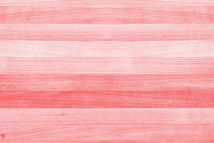 Coral pink or peach and salmon color Wall Mural Wallpaper