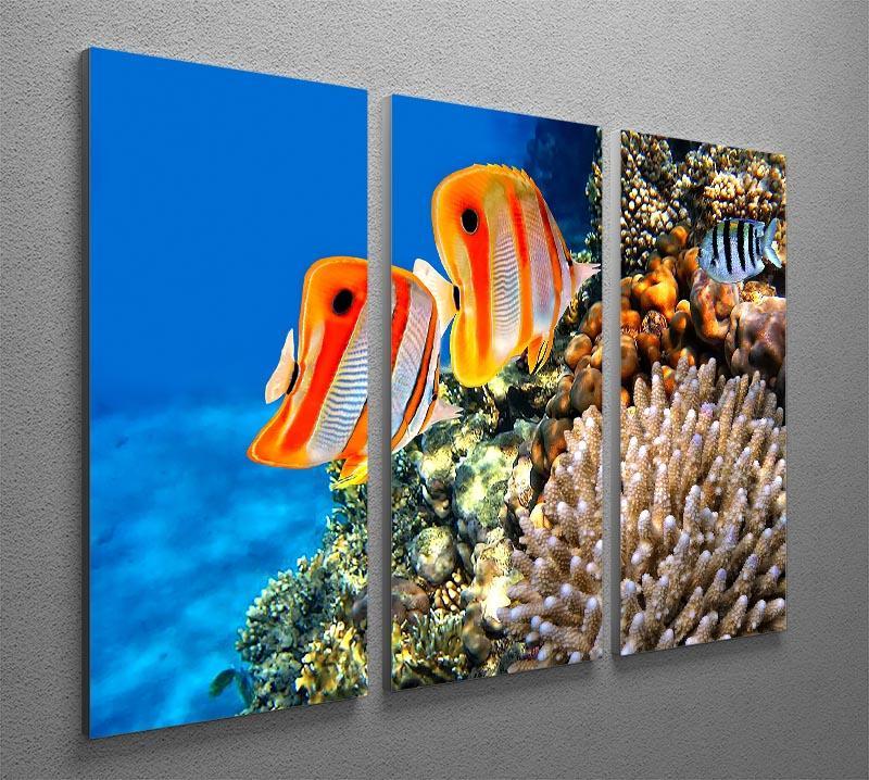 Coral reef and Copperband butterflyfish 3 Split Panel Canvas Print - Canvas Art Rocks - 2