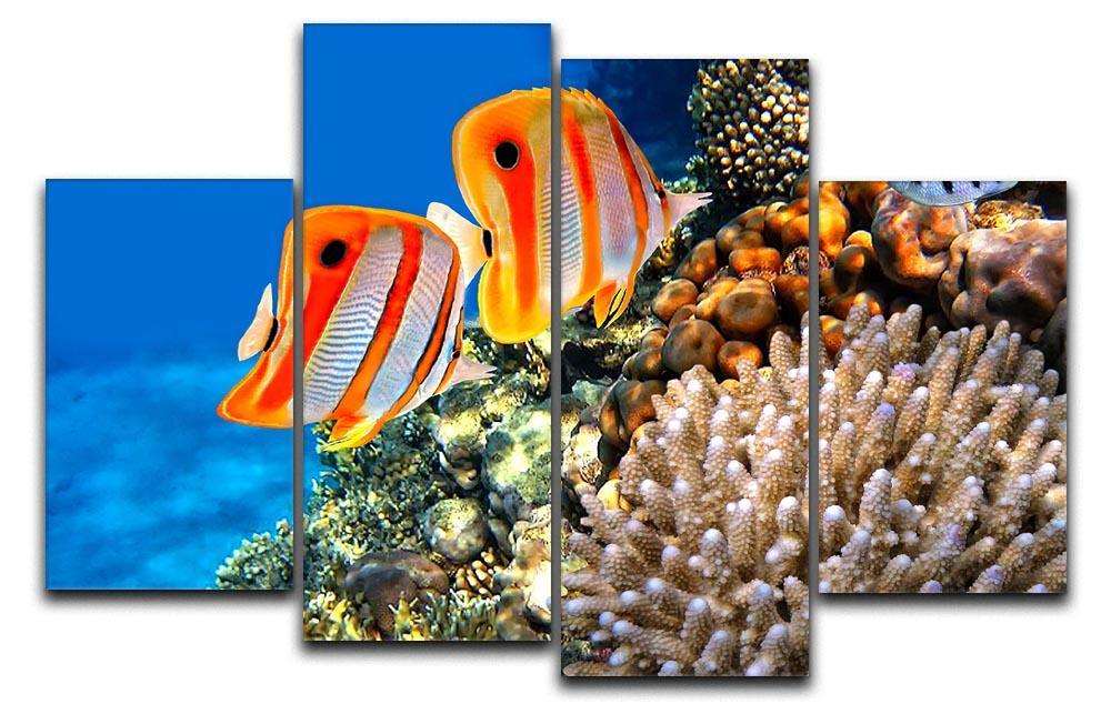 Coral reef and Copperband butterflyfish 4 Split Panel Canvas  - Canvas Art Rocks - 1