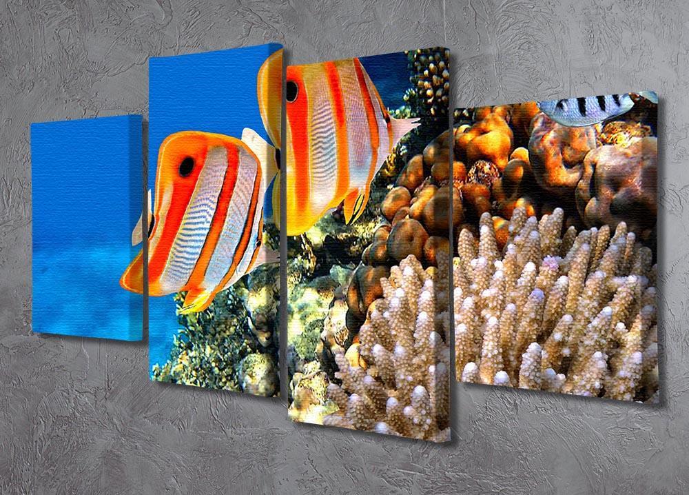 Coral reef and Copperband butterflyfish 4 Split Panel Canvas  - Canvas Art Rocks - 2