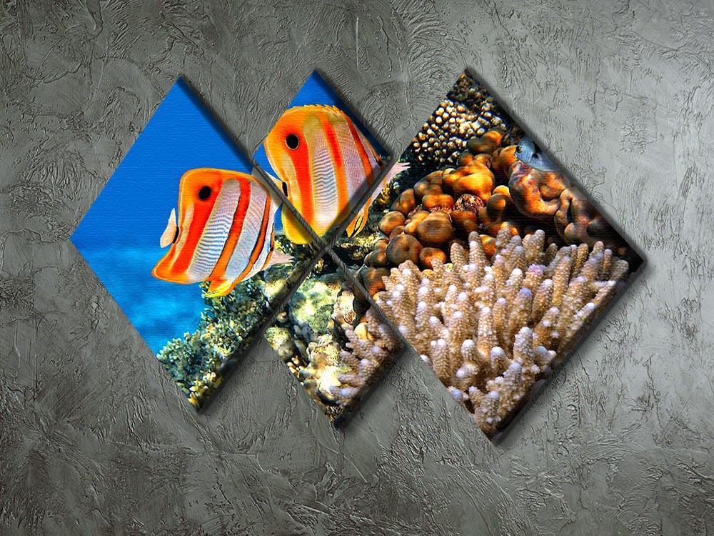 Coral reef and Copperband butterflyfish 4 Square Multi Panel Canvas  - Canvas Art Rocks - 2