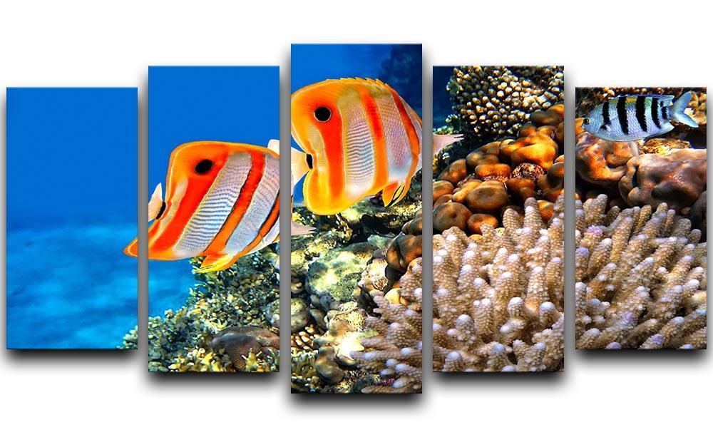 Coral reef and Copperband butterflyfish 5 Split Panel Canvas  - Canvas Art Rocks - 1