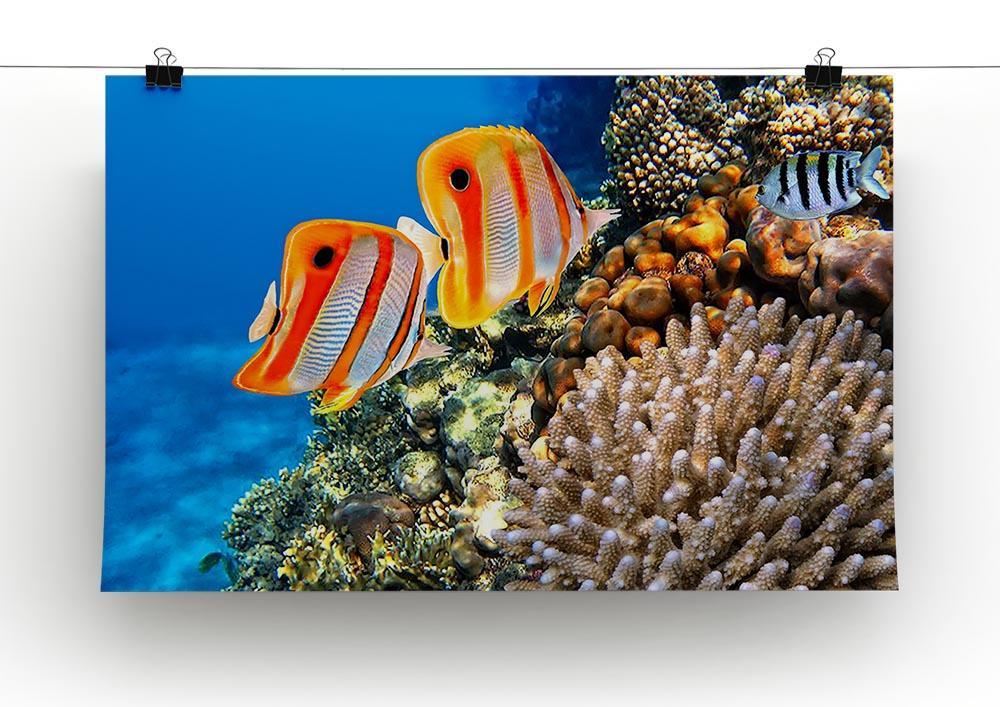 Coral reef and Copperband butterflyfish Canvas Print or Poster - Canvas Art Rocks - 2