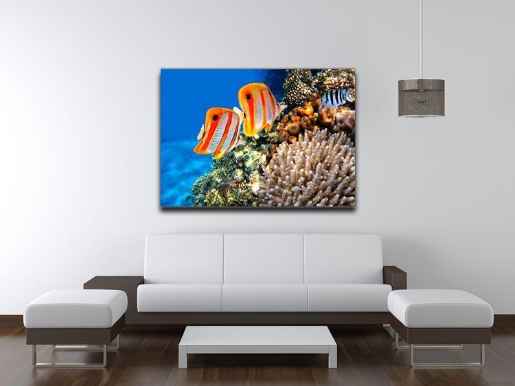 Coral reef and Copperband butterflyfish Canvas Print or Poster - Canvas Art Rocks - 4