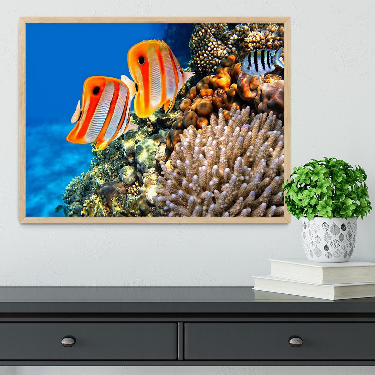 Coral reef and Copperband butterflyfish Framed Print - Canvas Art Rocks - 4