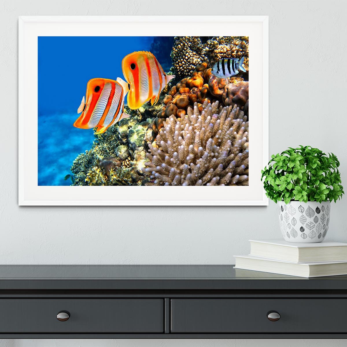Coral reef and Copperband butterflyfish Framed Print - Canvas Art Rocks - 5