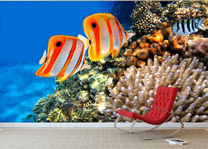 Coral reef and Copperband butterflyfish Wall Mural Wallpaper - Canvas Art Rocks - 3