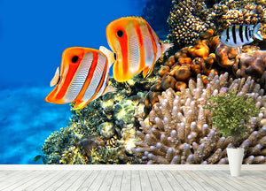 Coral reef and Copperband butterflyfish Wall Mural Wallpaper - Canvas Art Rocks - 4