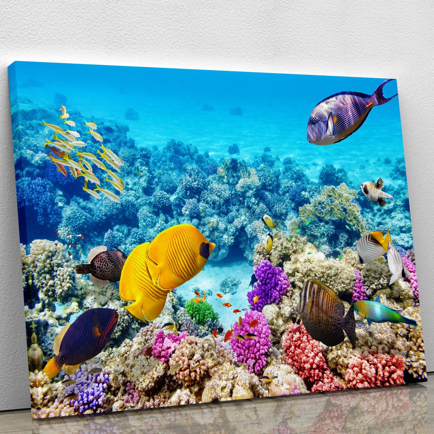 Corals and tropical fish Canvas Print or Poster