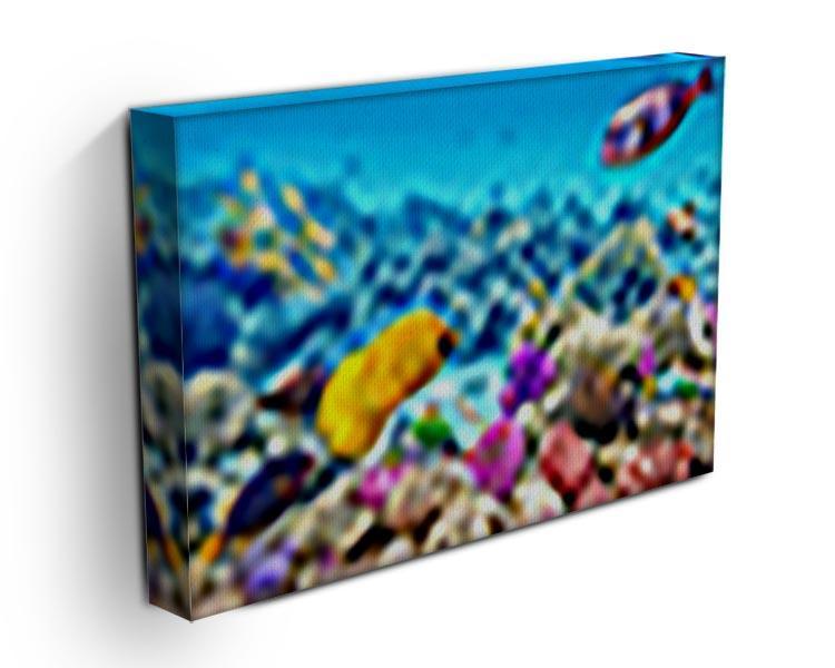 Corals and tropical fish Canvas Print or Poster - Canvas Art Rocks - 3