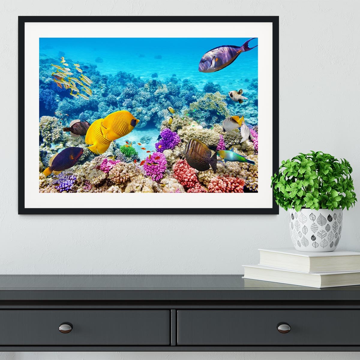 Corals and tropical fish Framed Print - Canvas Art Rocks - 1