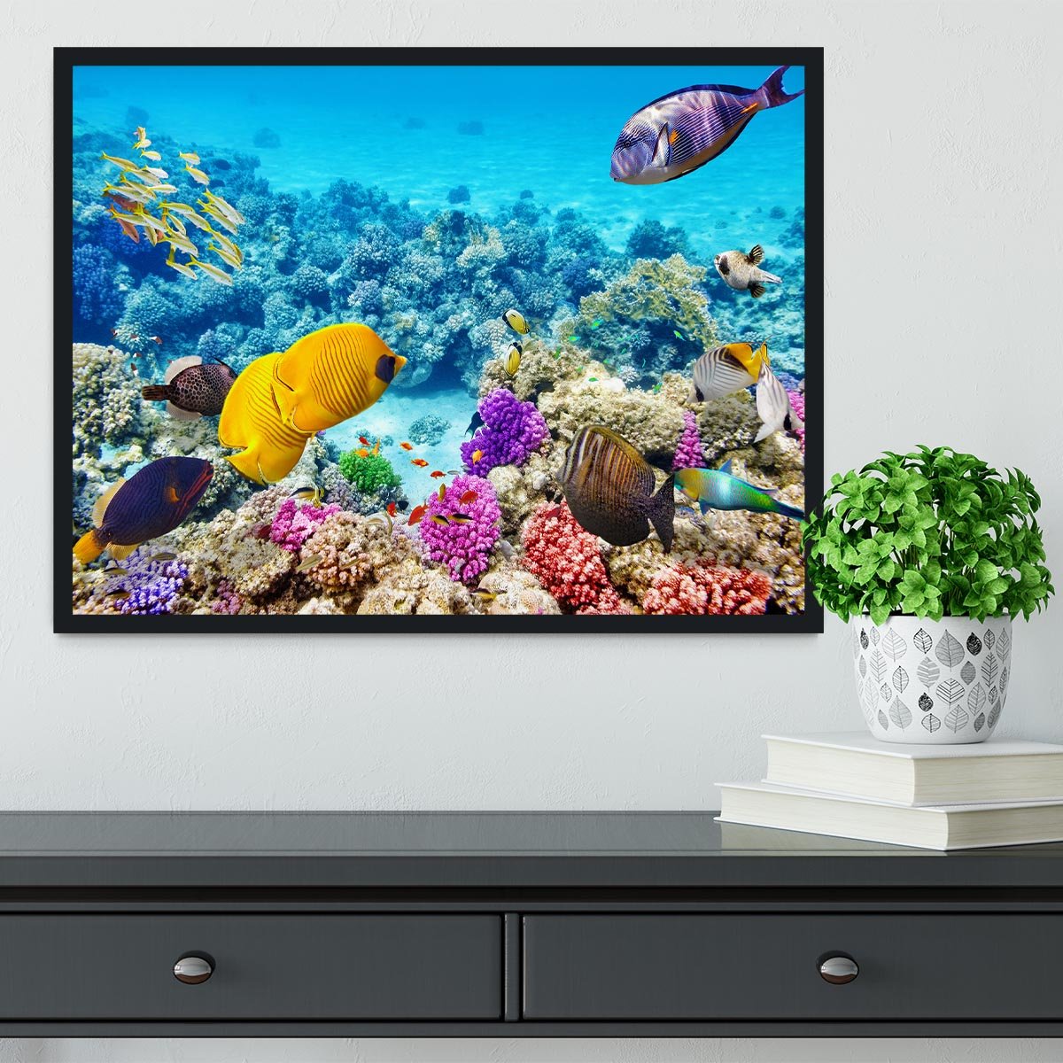 Corals and tropical fish Framed Print - Canvas Art Rocks - 2