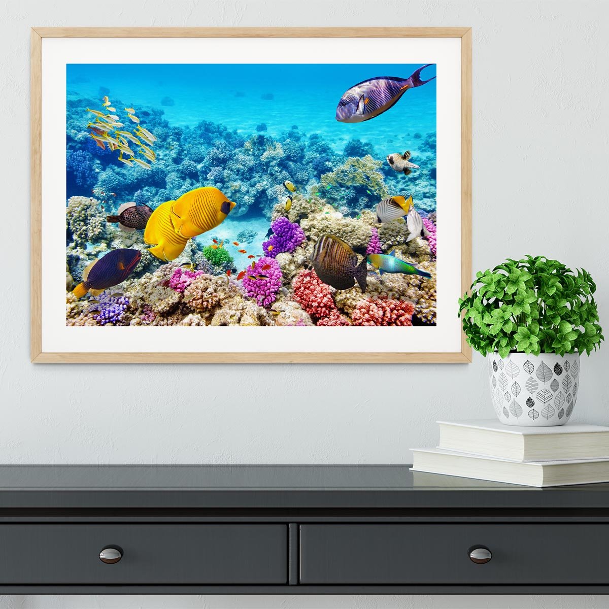 Corals and tropical fish Framed Print - Canvas Art Rocks - 3