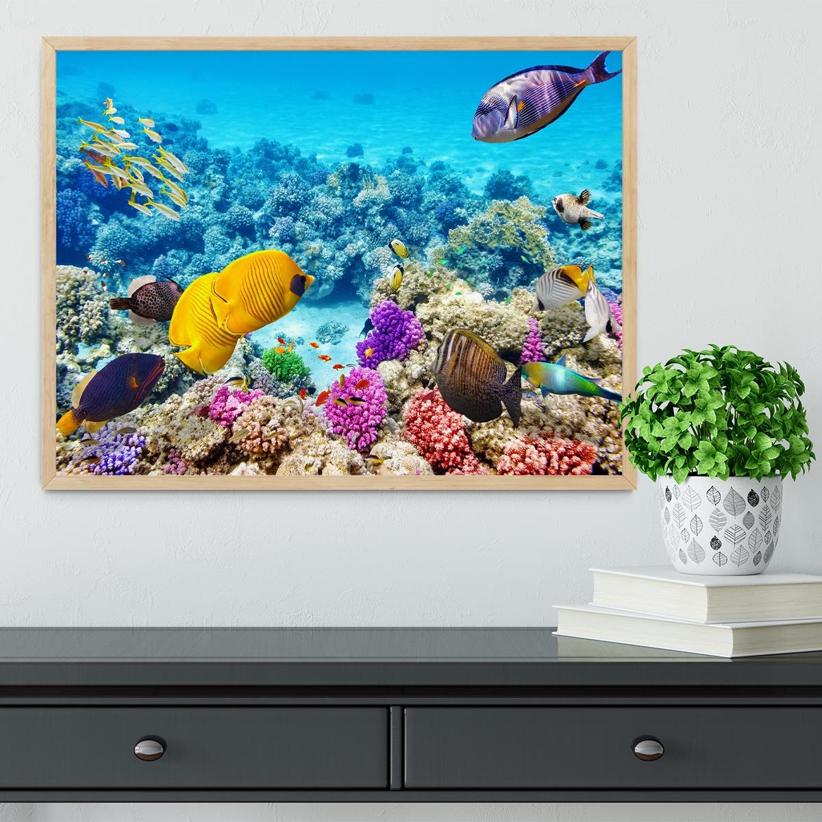 Corals and tropical fish Framed Print - Canvas Art Rocks - 4