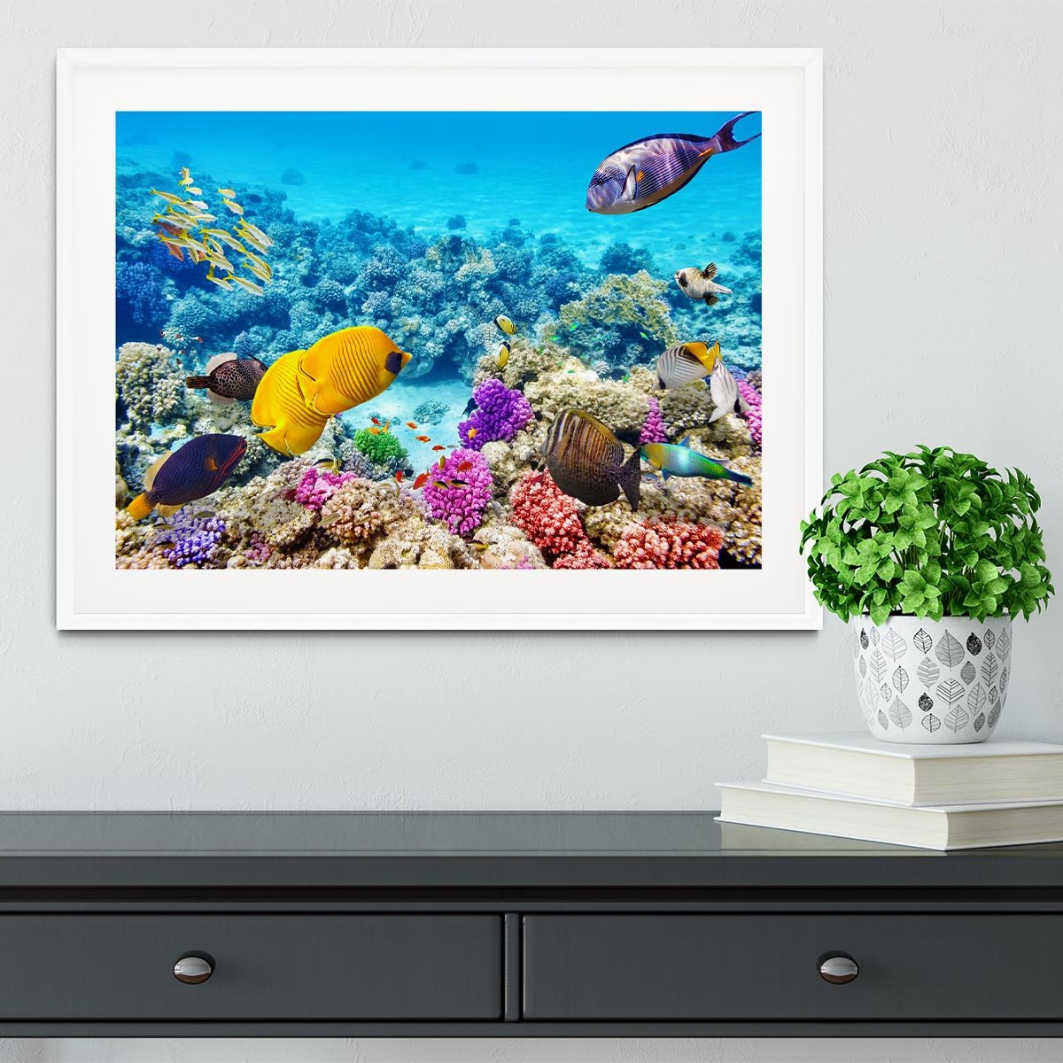 Corals and tropical fish Framed Print - Canvas Art Rocks - 5