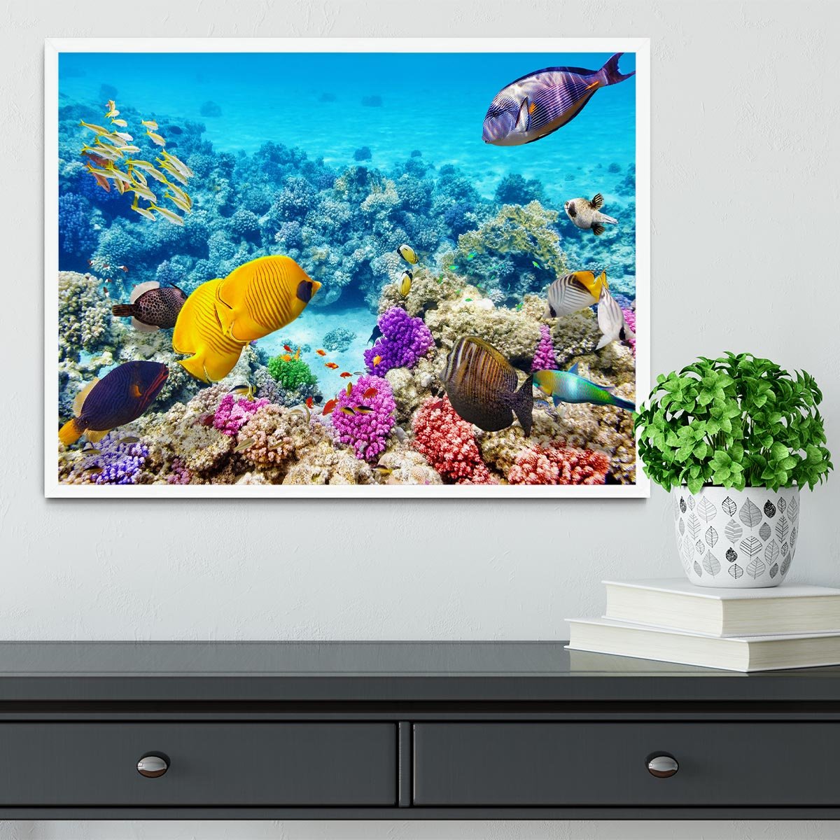 Corals and tropical fish Framed Print - Canvas Art Rocks -6