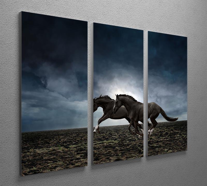 Couple black horses 3 Split Panel Canvas Print - Canvas Art Rocks - 2