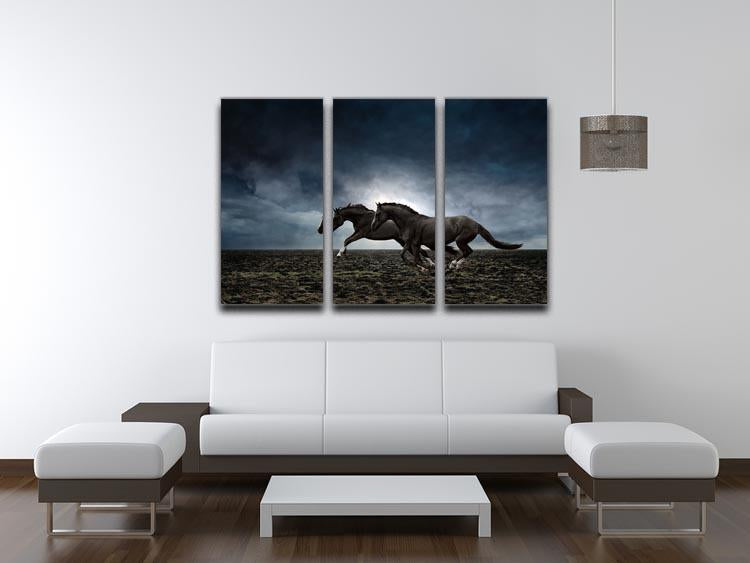 Couple black horses 3 Split Panel Canvas Print - Canvas Art Rocks - 3