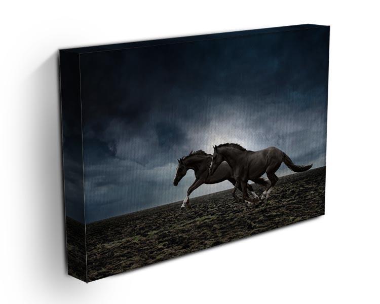 Couple black horses Canvas Print or Poster - Canvas Art Rocks - 3