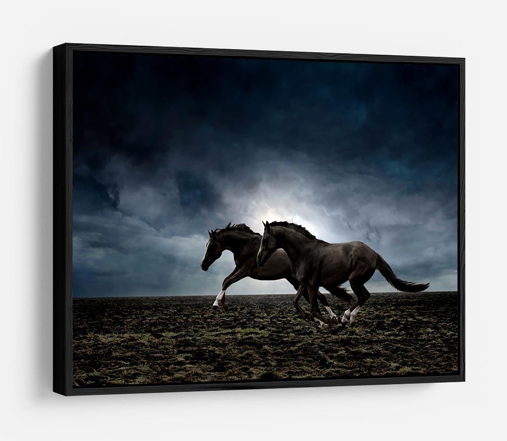 Couple black horses HD Metal Print - Canvas Art Rocks - 6