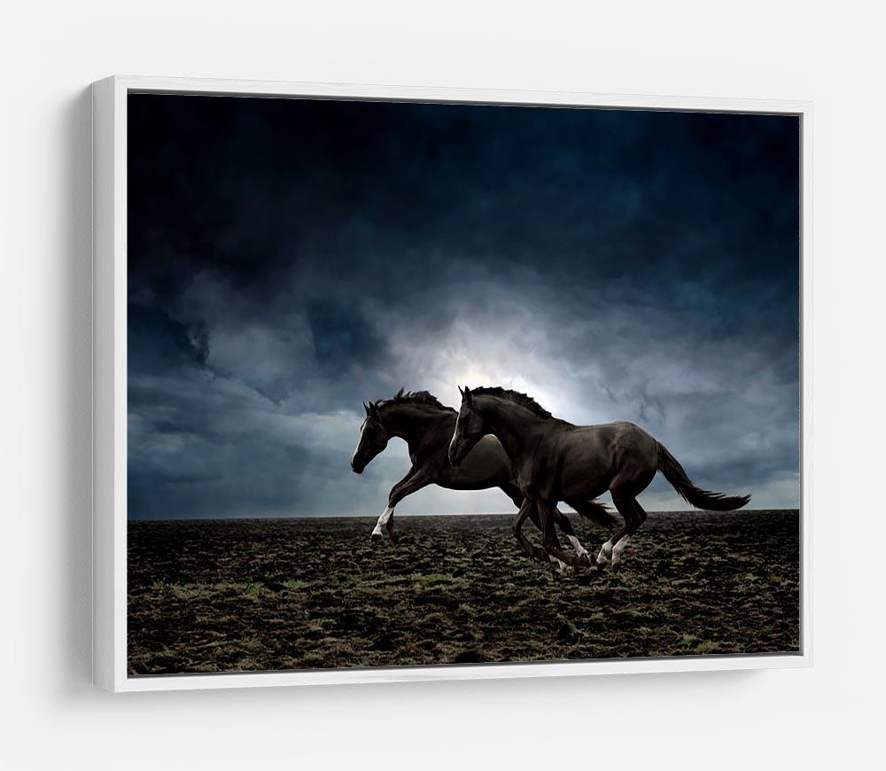 Couple black horses HD Metal Print - Canvas Art Rocks - 7