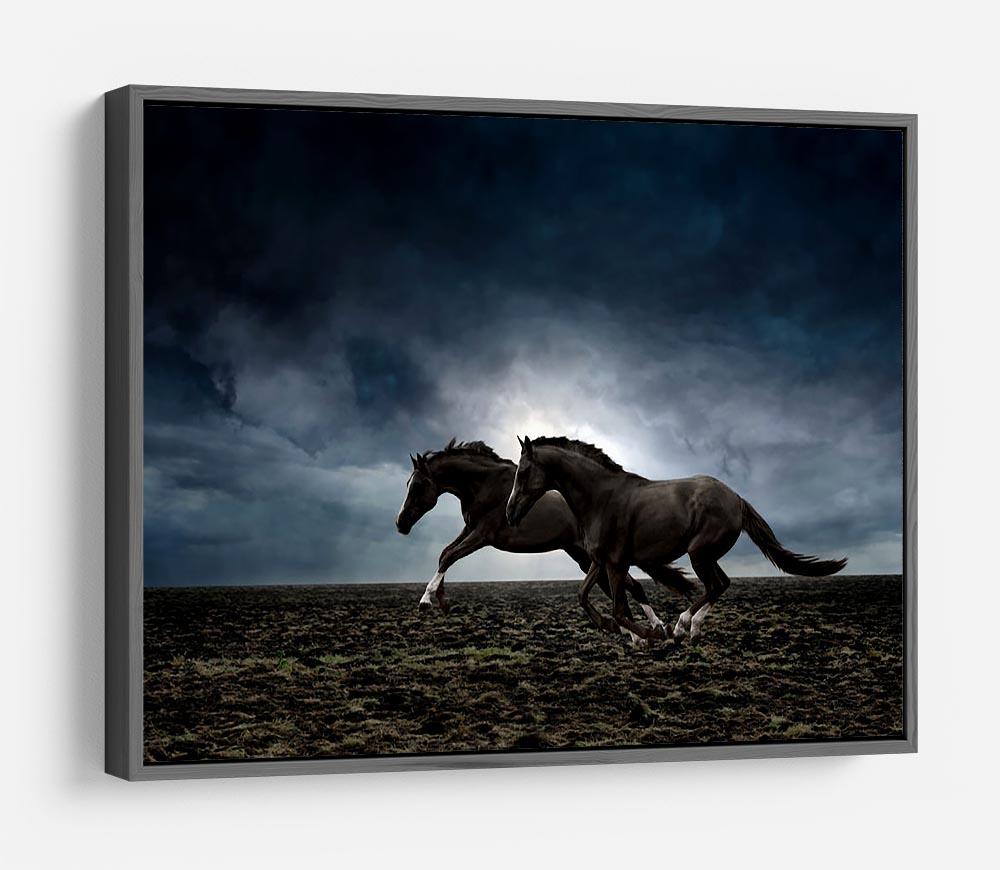 Couple black horses HD Metal Print - Canvas Art Rocks - 9
