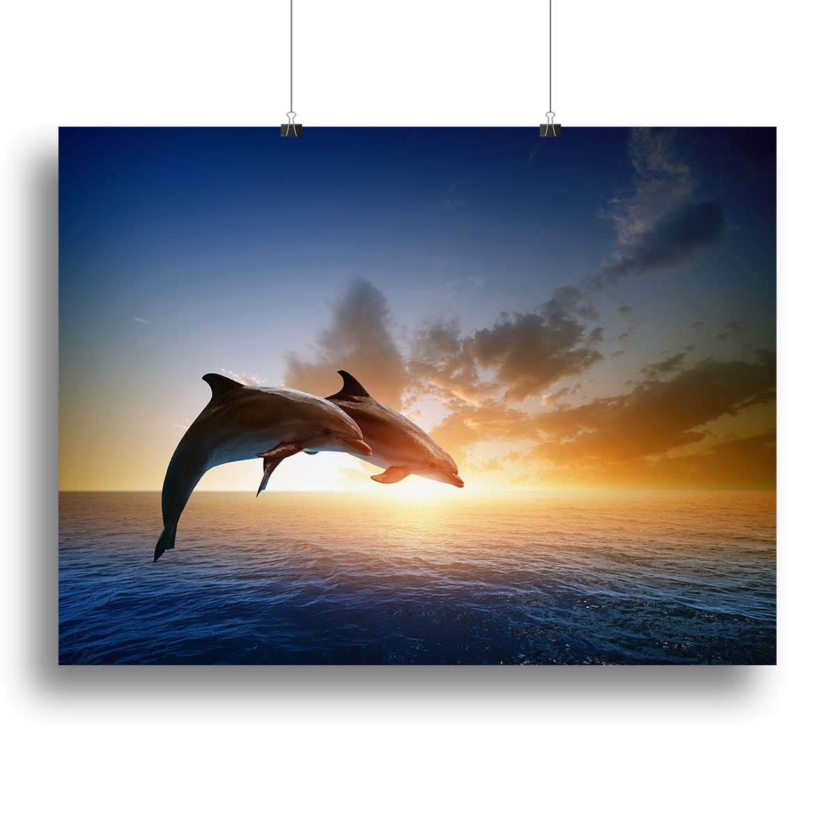 Couple jumping dolphins Canvas Print or Poster