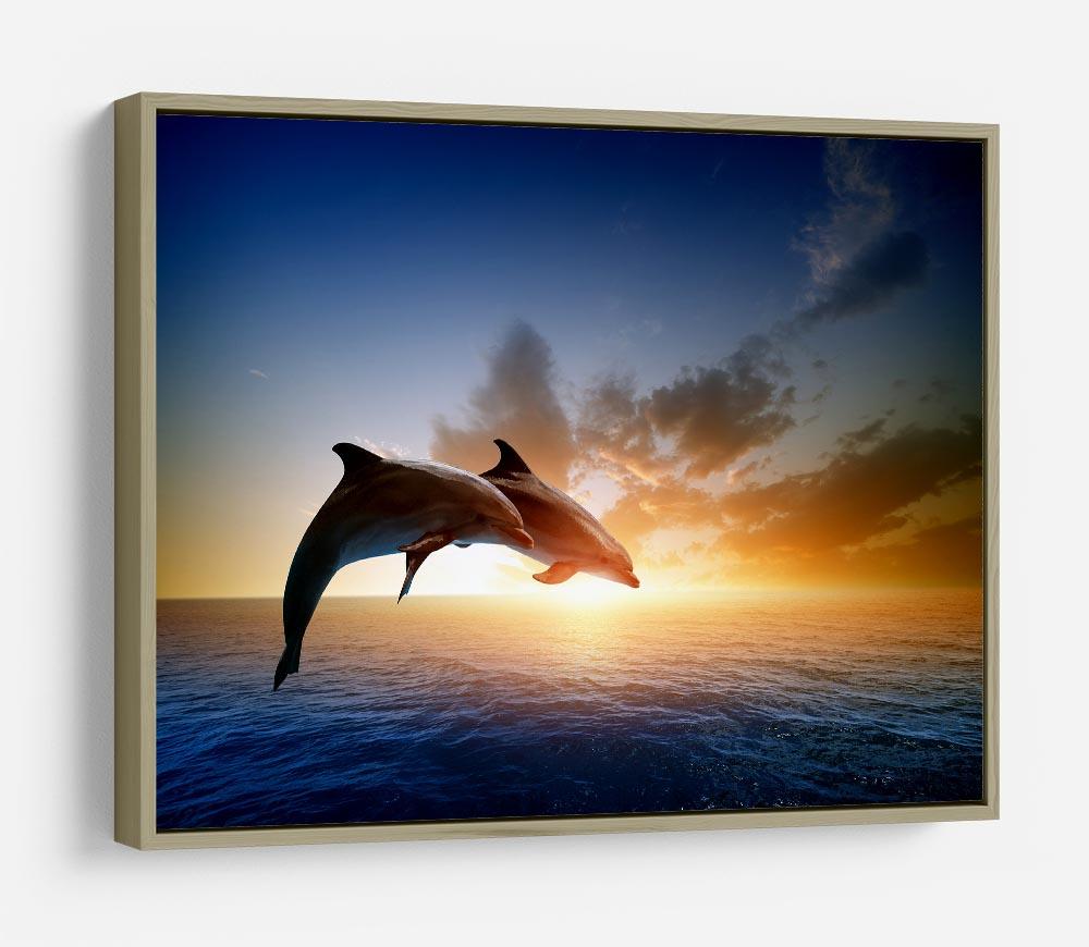 Couple jumping dolphins HD Metal Print